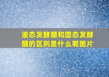 液态发酵醋和固态发酵醋的区别是什么呢图片