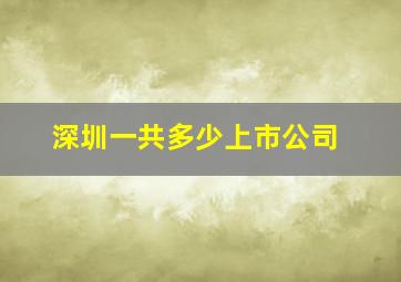 深圳一共多少上市公司