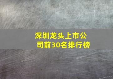 深圳龙头上市公司前30名排行榜