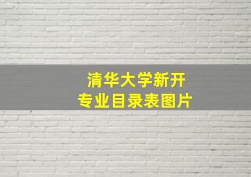 清华大学新开专业目录表图片