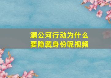 湄公河行动为什么要隐藏身份呢视频