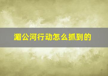 湄公河行动怎么抓到的