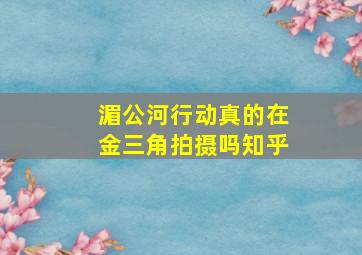 湄公河行动真的在金三角拍摄吗知乎