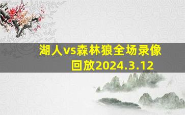 湖人vs森林狼全场录像回放2024.3.12