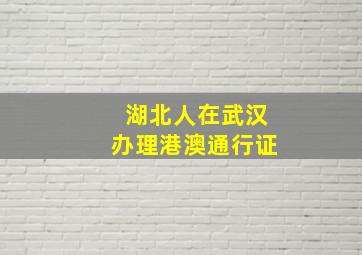 湖北人在武汉办理港澳通行证