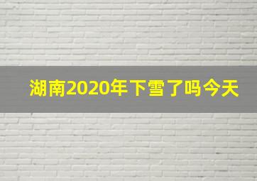 湖南2020年下雪了吗今天