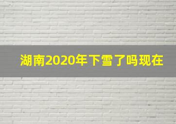 湖南2020年下雪了吗现在