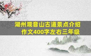 湖州观音山古道景点介绍作文400字左右三年级