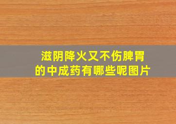 滋阴降火又不伤脾胃的中成药有哪些呢图片