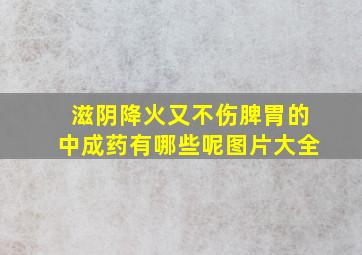 滋阴降火又不伤脾胃的中成药有哪些呢图片大全