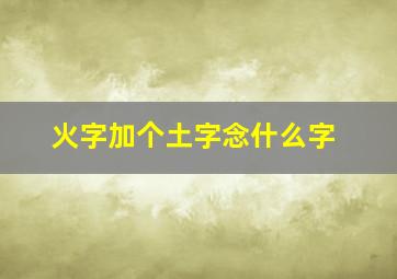 火字加个土字念什么字