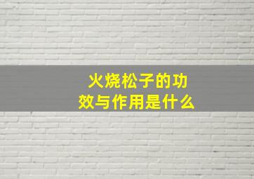 火烧松子的功效与作用是什么