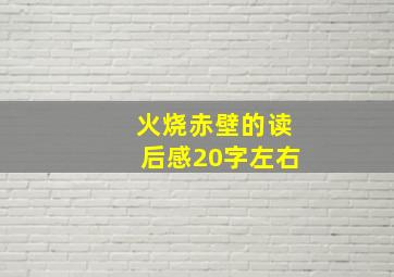 火烧赤壁的读后感20字左右