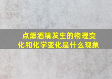 点燃酒精发生的物理变化和化学变化是什么现象