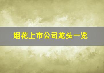 烟花上市公司龙头一览