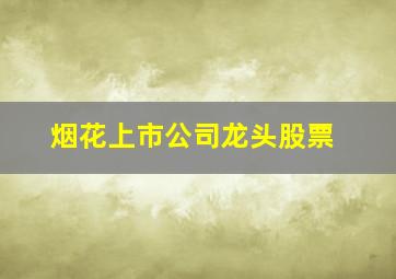 烟花上市公司龙头股票