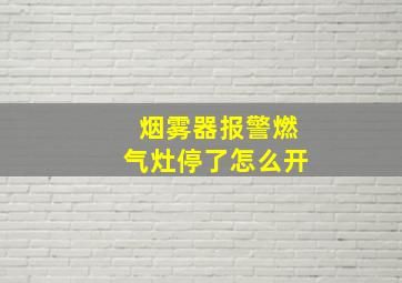 烟雾器报警燃气灶停了怎么开