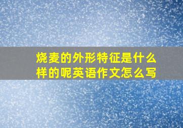 烧麦的外形特征是什么样的呢英语作文怎么写