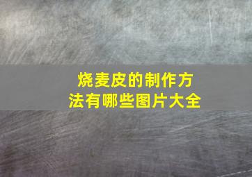 烧麦皮的制作方法有哪些图片大全