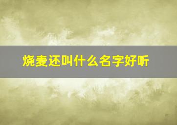 烧麦还叫什么名字好听