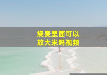 烧麦里面可以放大米吗视频