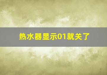 热水器显示01就关了