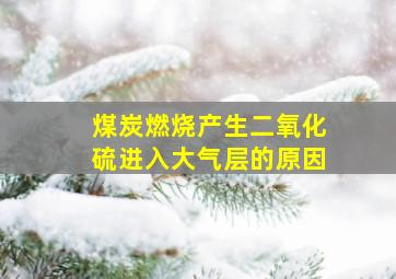 煤炭燃烧产生二氧化硫进入大气层的原因