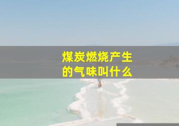 煤炭燃烧产生的气味叫什么