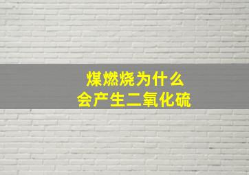 煤燃烧为什么会产生二氧化硫