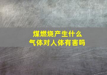 煤燃烧产生什么气体对人体有害吗