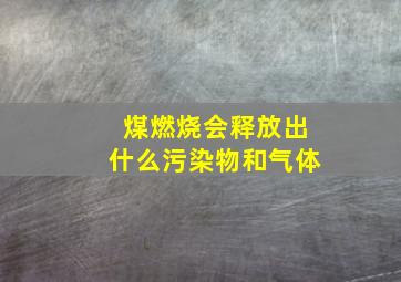 煤燃烧会释放出什么污染物和气体