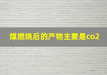 煤燃烧后的产物主要是co2