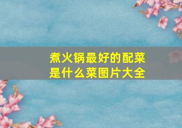 煮火锅最好的配菜是什么菜图片大全