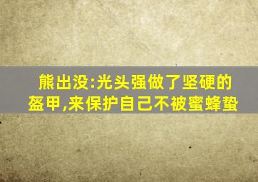 熊出没:光头强做了坚硬的盔甲,来保护自己不被蜜蜂蛰