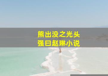 熊出没之光头强曰赵琳小说