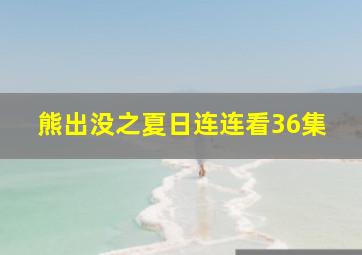 熊出没之夏日连连看36集