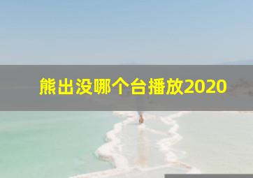 熊出没哪个台播放2020