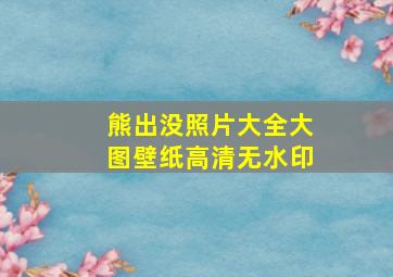 熊出没照片大全大图壁纸高清无水印