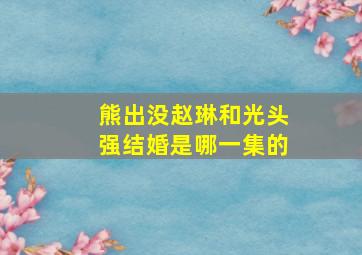 熊出没赵琳和光头强结婚是哪一集的