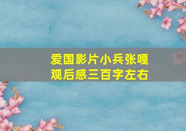 爱国影片小兵张嘎观后感三百字左右