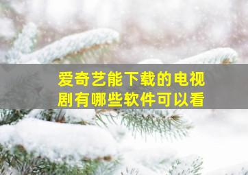 爱奇艺能下载的电视剧有哪些软件可以看