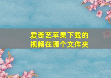 爱奇艺苹果下载的视频在哪个文件夹