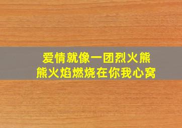 爱情就像一团烈火熊熊火焰燃烧在你我心窝