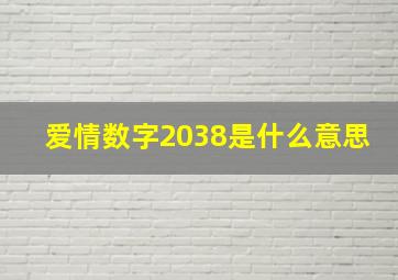 爱情数字2038是什么意思