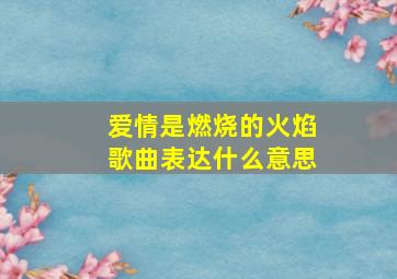 爱情是燃烧的火焰歌曲表达什么意思