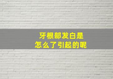 牙根部发白是怎么了引起的呢