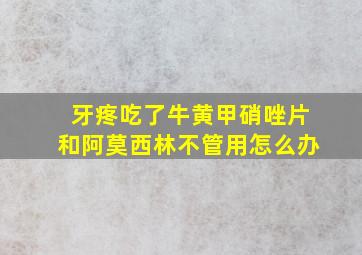 牙疼吃了牛黄甲硝唑片和阿莫西林不管用怎么办