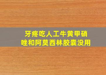 牙疼吃人工牛黄甲硝唑和阿莫西林胶囊没用