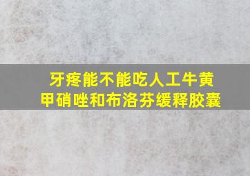 牙疼能不能吃人工牛黄甲硝唑和布洛芬缓释胶囊