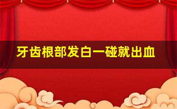 牙齿根部发白一碰就出血